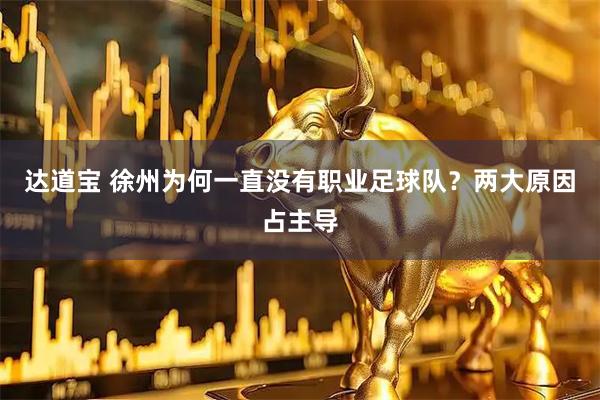 达道宝 徐州为何一直没有职业足球队？两大原因占主导