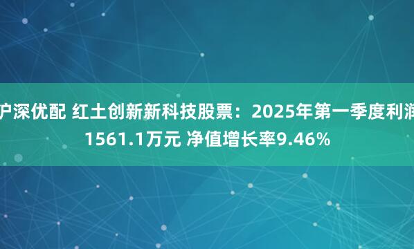 沪深优配 红土创新新科技股票：2025年第一季度利润1561.1万元 净值增长率9.46%