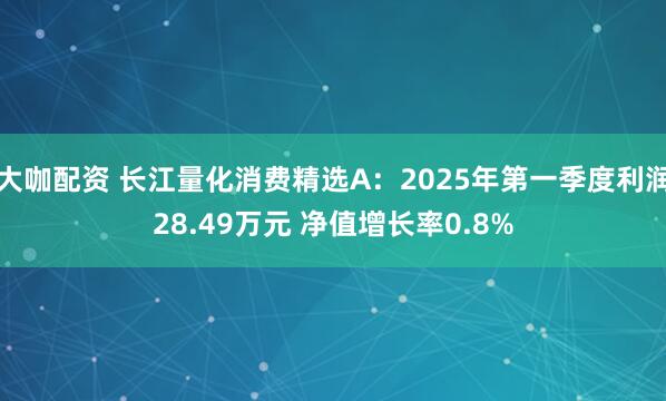 大咖配资 长江量化消费精选A：2025年第一季度利润28.49万元 净值增长率0.8%