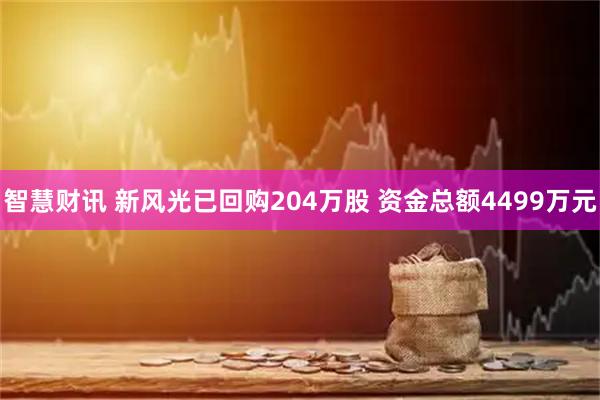 智慧财讯 新风光已回购204万股 资金总额4499万元