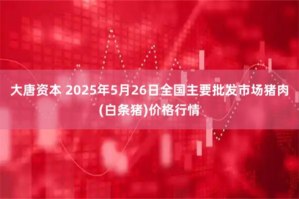 大唐资本 2025年5月26日全国主要批发市场猪肉(白条猪)价格行情