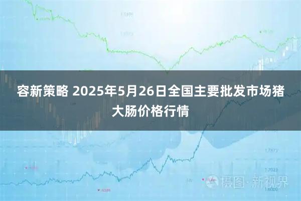 容新策略 2025年5月26日全国主要批发市场猪大肠价格行情