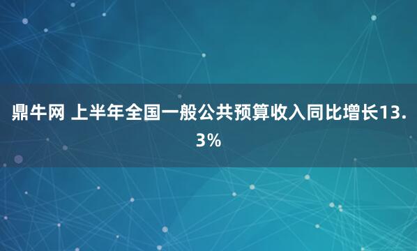 鼎牛网 上半年全国一般公共预算收入同比增长13.3%