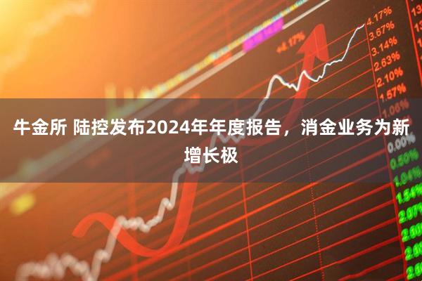 牛金所 陆控发布2024年年度报告，消金业务为新增长极